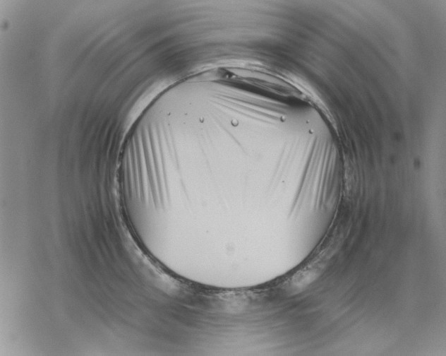 X0000069390906200606021629