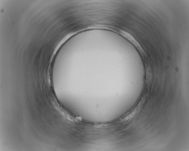 X0000069390908200606021629