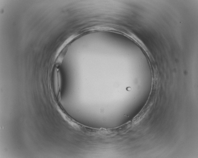 X0000069390909200606021629