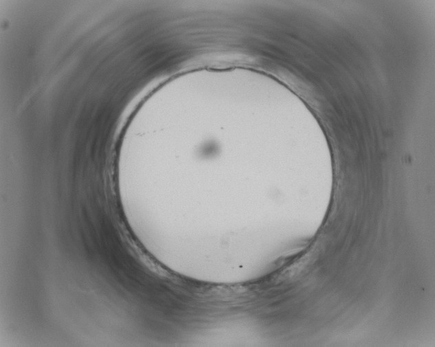 X0000069390912200606021628