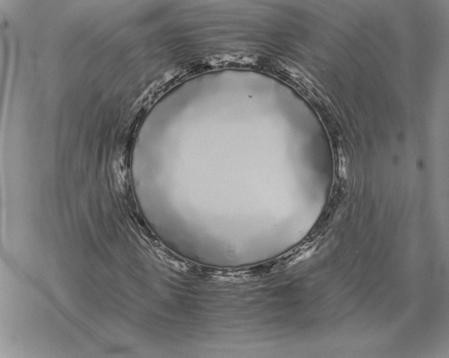 X0000069390915200606021628