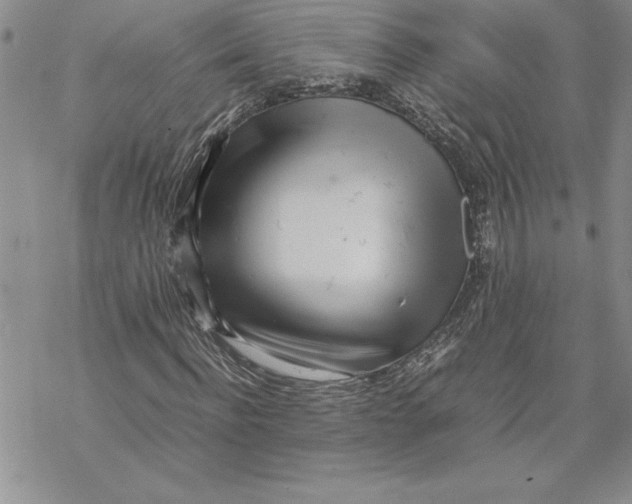 X0000069390916200606021628