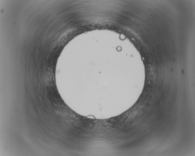 X0000069390918200606021628