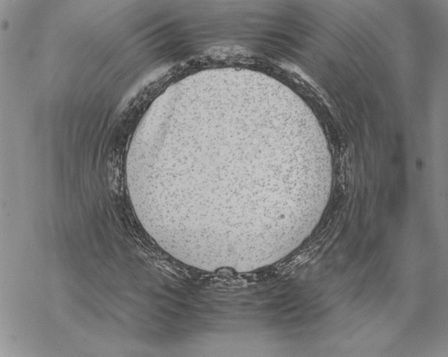 X0000069390919200606021628