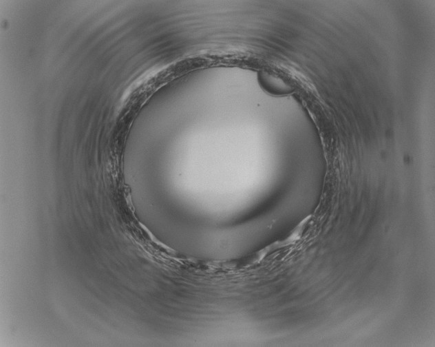 X0000069390920200606021628