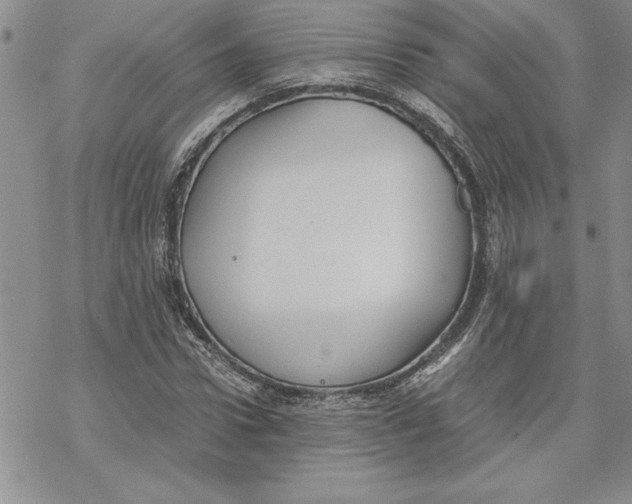 X0000069390922200606021628