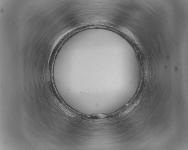 X0000069390924200606021628