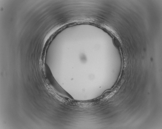 X0000069390928200606021628