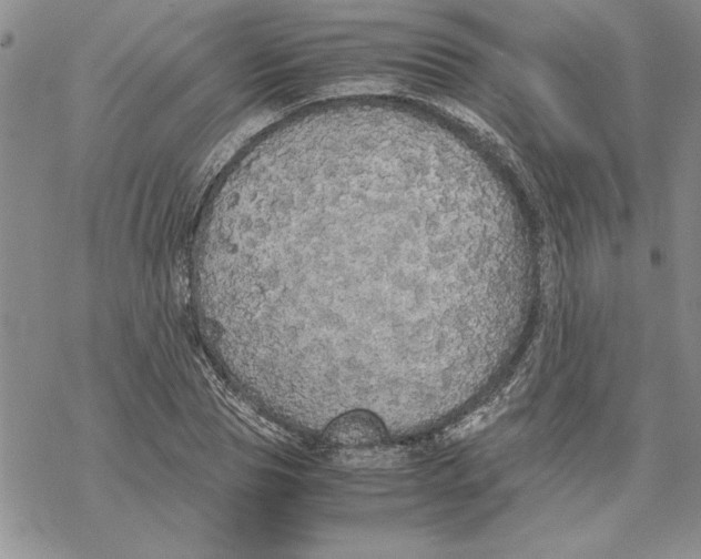 X0000069390929200606021628