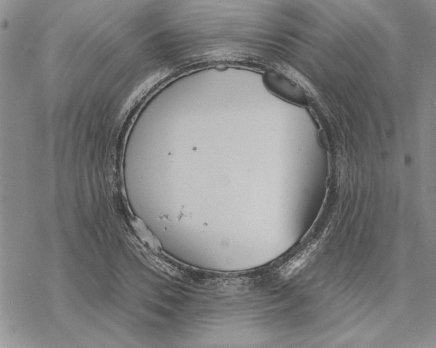 X0000069390930200606021628