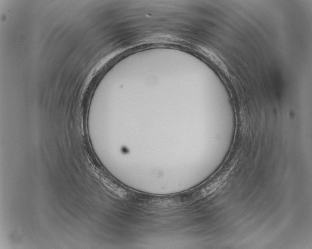 X0000069390931200606021628