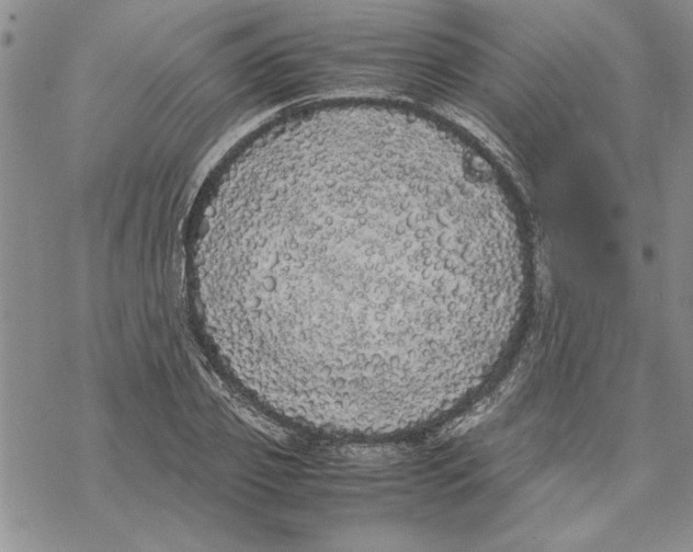 X0000069390933200606021628