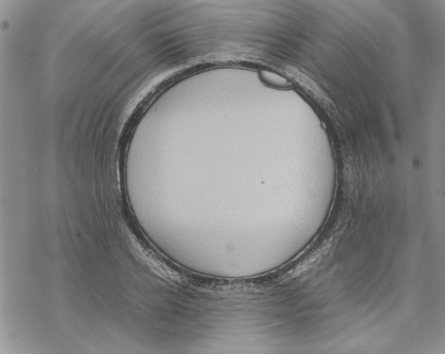 X0000069390934200606021628