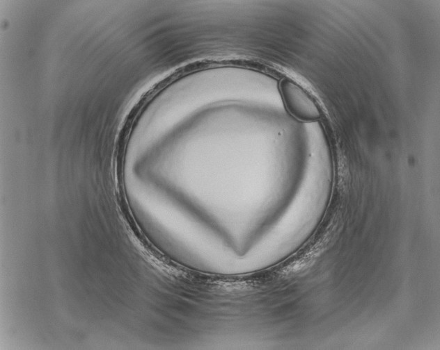 X0000069390935200606021628