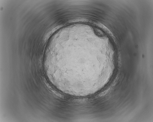 X0000069390937200606021628