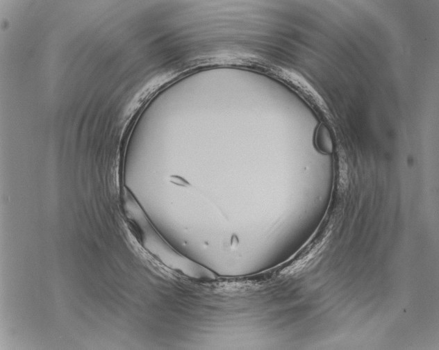 X0000069390938200606021628