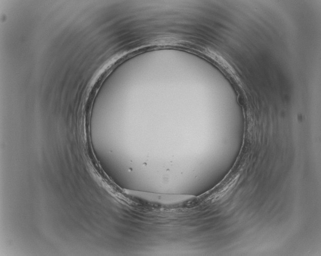 X0000069390939200606021628