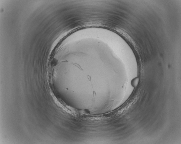 X0000069390941200606021628