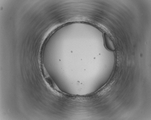 X0000069390942200606021628