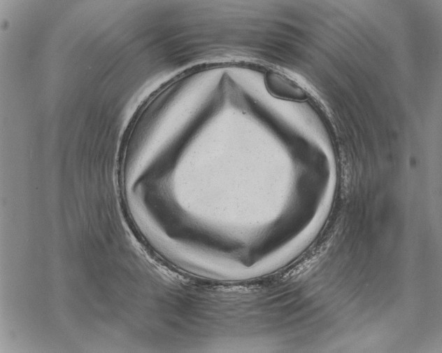 X0000069390943200606021628