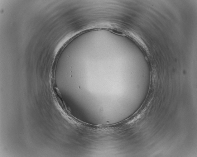 X0000069390944200606021628