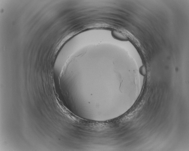 X0000069390945200606021628