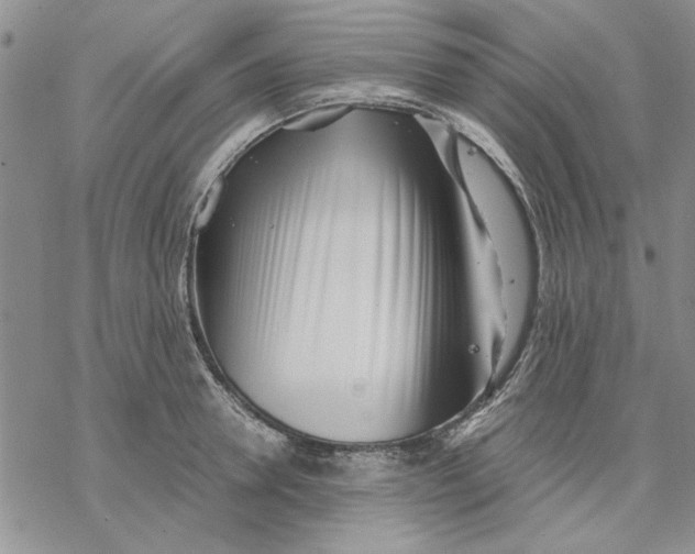 X0000069390946200606021628