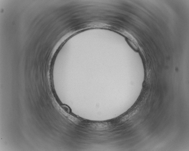 X0000069390947200606021628