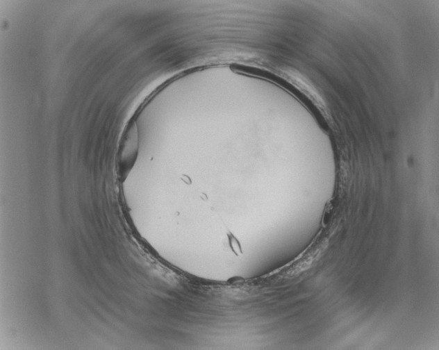 X0000069390948200606021628