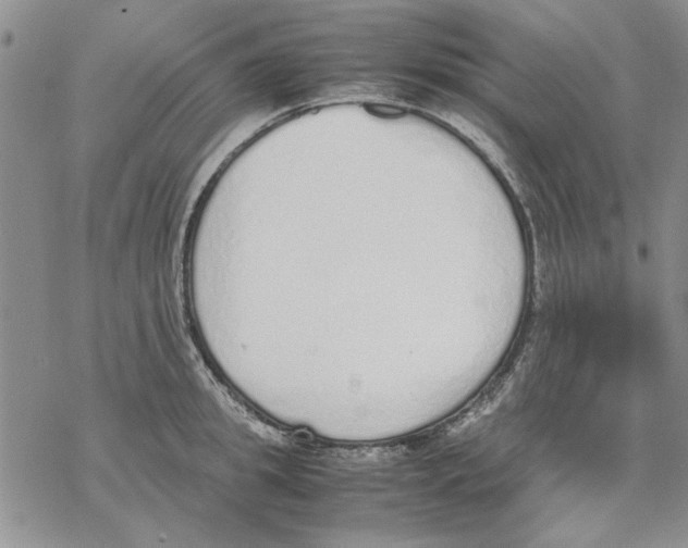 X0000069390949200606021628