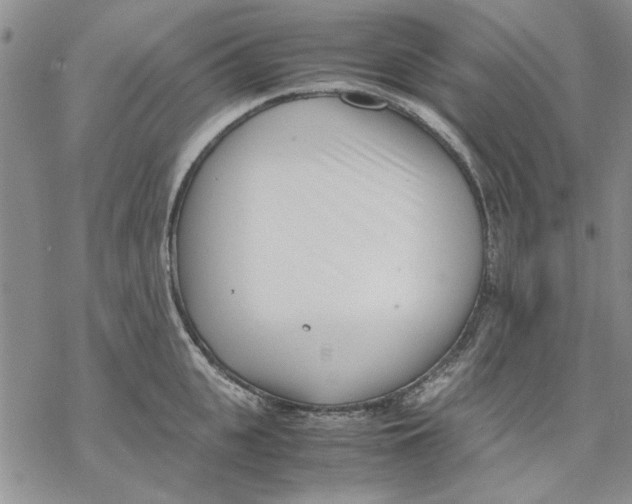 X0000069390951200606021628