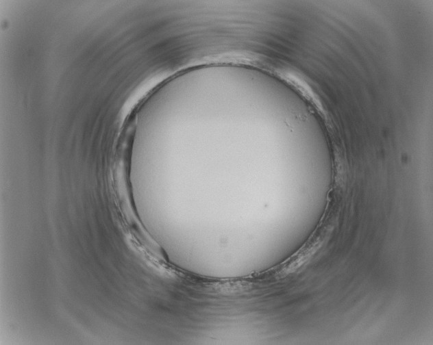 X0000069390952200606021628