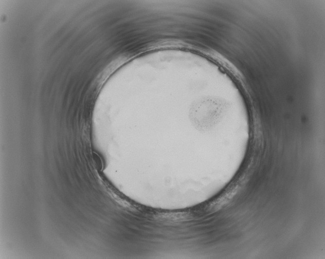 X0000069390953200606021628