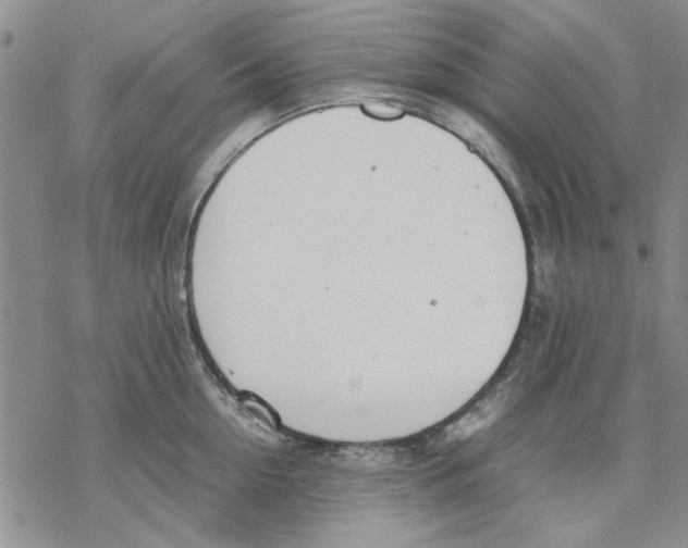 X0000069390954200606021628