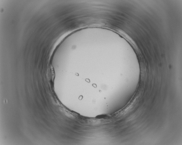 X0000069390956200606021628