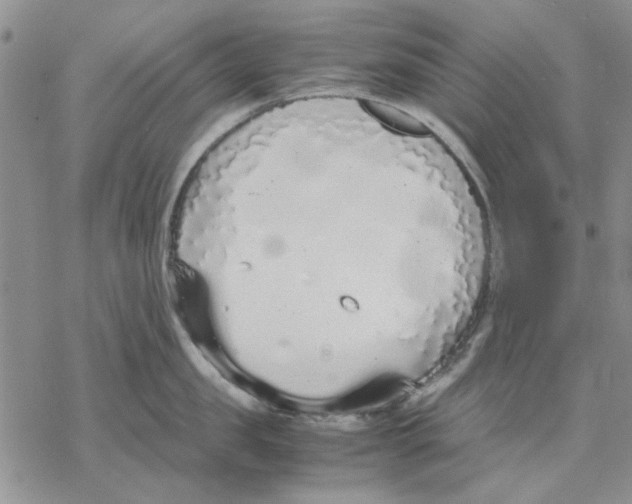 X0000069390957200606021628