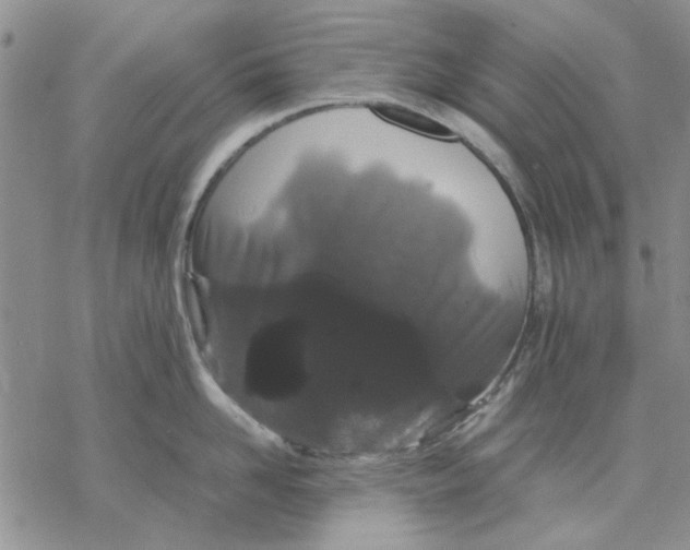 X0000069390958200606021628