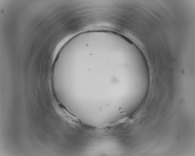 X0000069390960200606021628