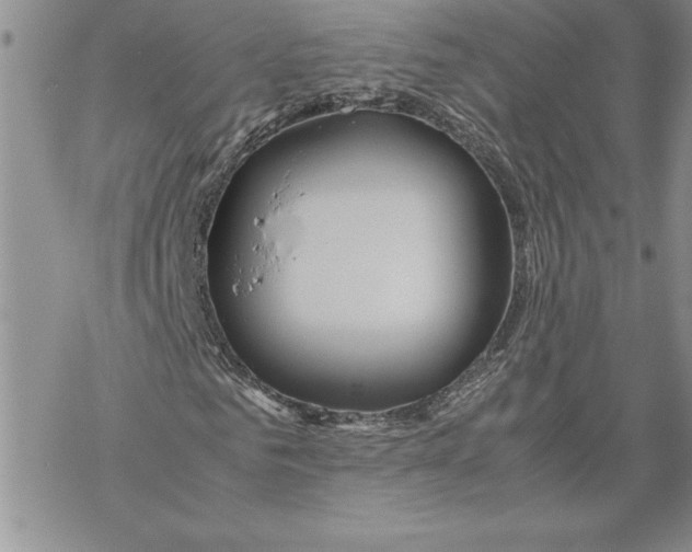 X0000069390961200606021628