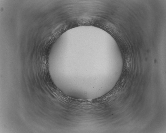 X0000069390964200606021628