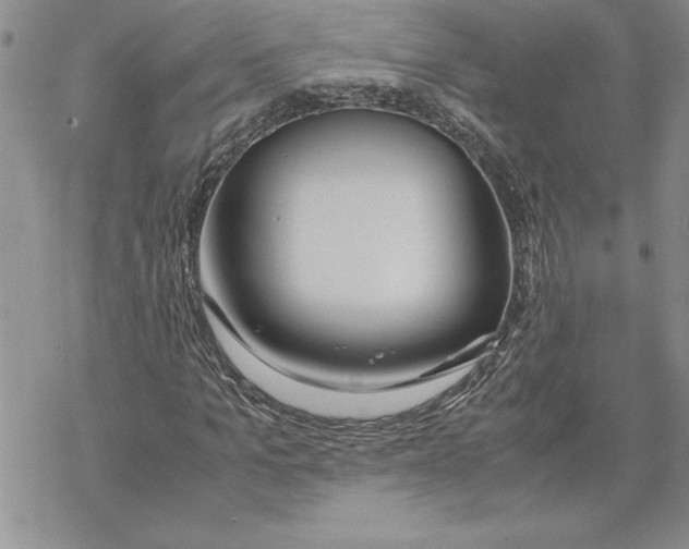 X0000069390965200606021628