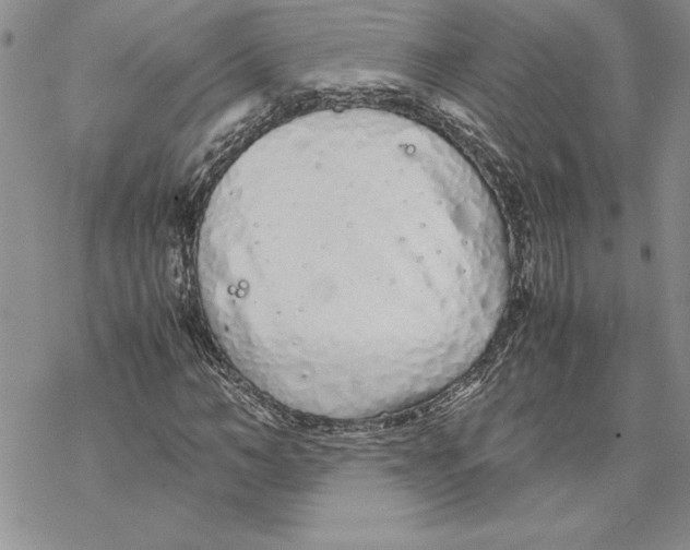 X0000069390966200606021628