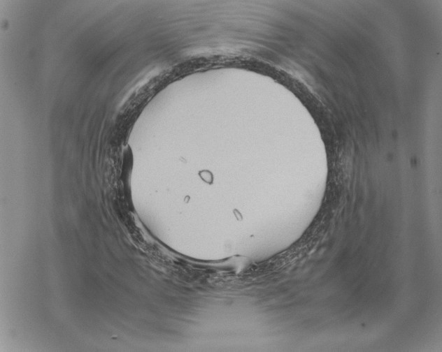 X0000069390967200606021628