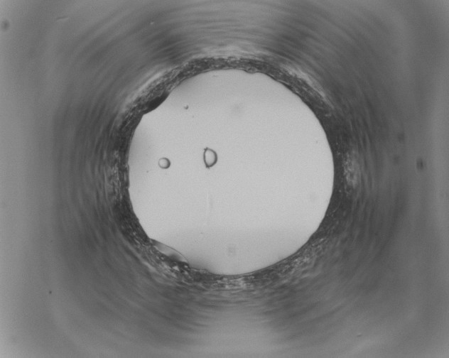 X0000069390968200606021628