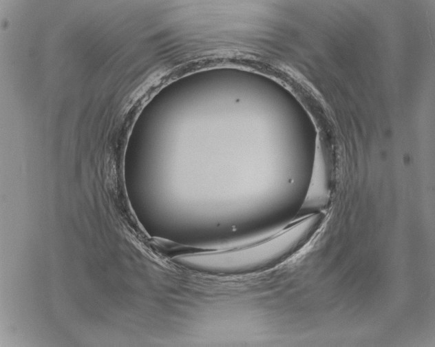 X0000069390969200606021628