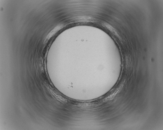 X0000069390970200606021628