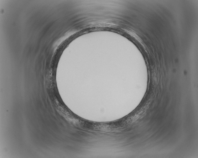 X0000069390971200606021628