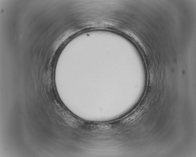 X0000069390975200606021627