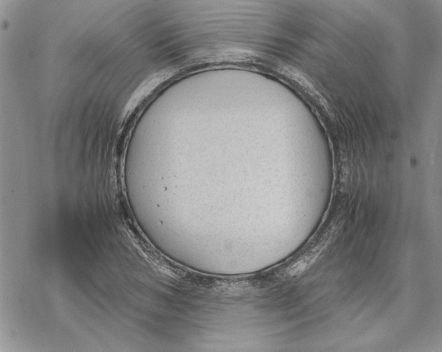 X0000069390978200606021627