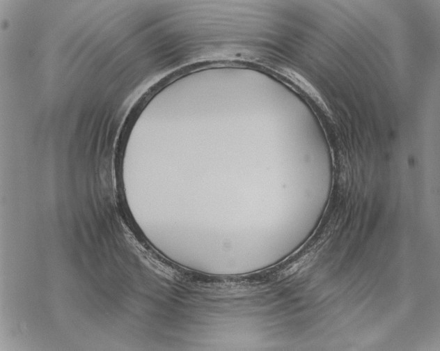 X0000069390980200606021627